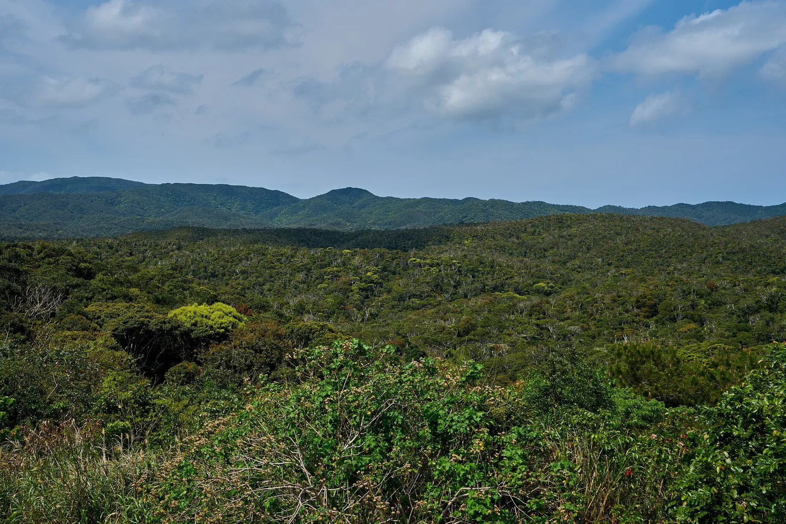 Rolling hills covered in dense subtropical forest under a partly cloudy sky in Yambaru National Park; a general photograph of the area, not of the park